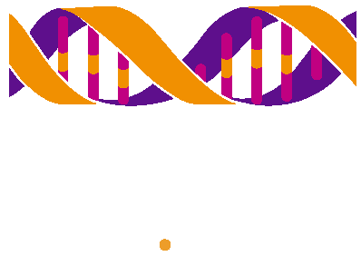 Factor ADN